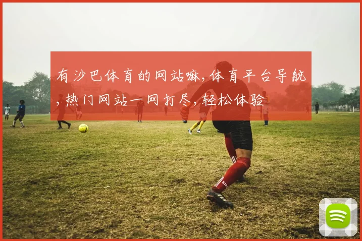 有沙巴体育的网站嘛,体育平台导航,热门网站一网打尽,轻松体验