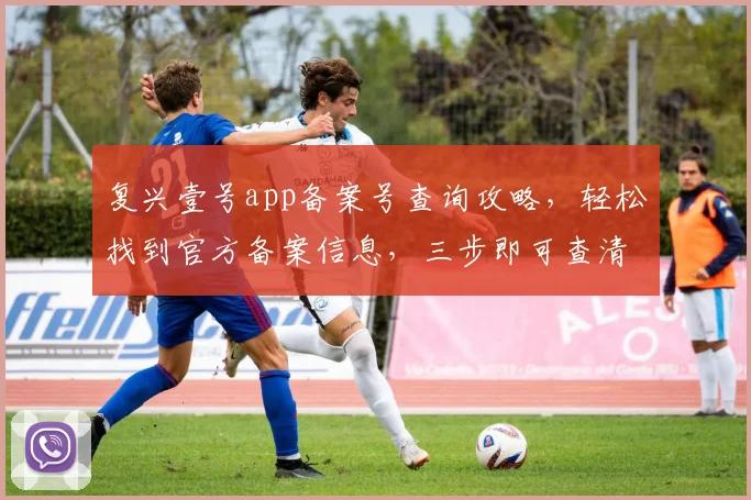 复兴壹号app备案号查询攻略，轻松找到官方备案信息，三步即可查清，快来试试吧