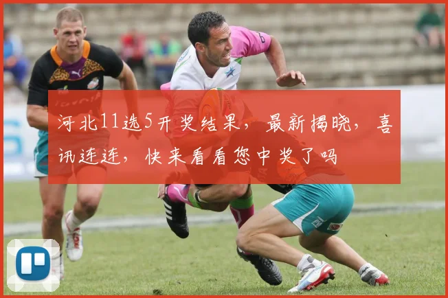 河北11选5开奖结果，最新揭晓，喜讯连连，快来看看您中奖了吗